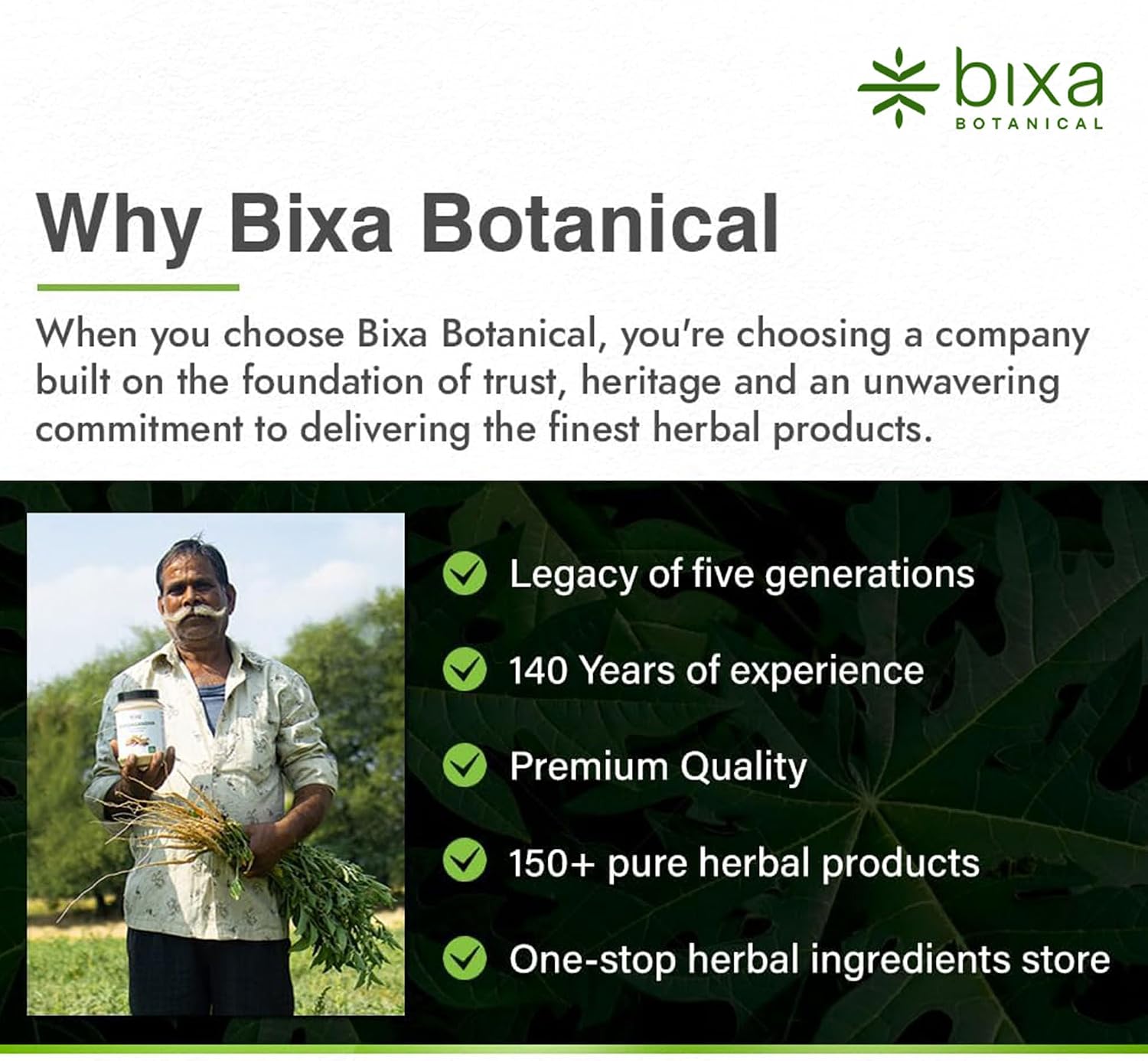 bixa BOTANICAL Polvo de Raíz de Galanga Mayor - 454 g (16 oz)