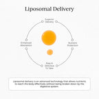 Cymbiotika Vitamina C Liposomal - 30 Sobres Individuales, Sabor Cítrico Vainilla