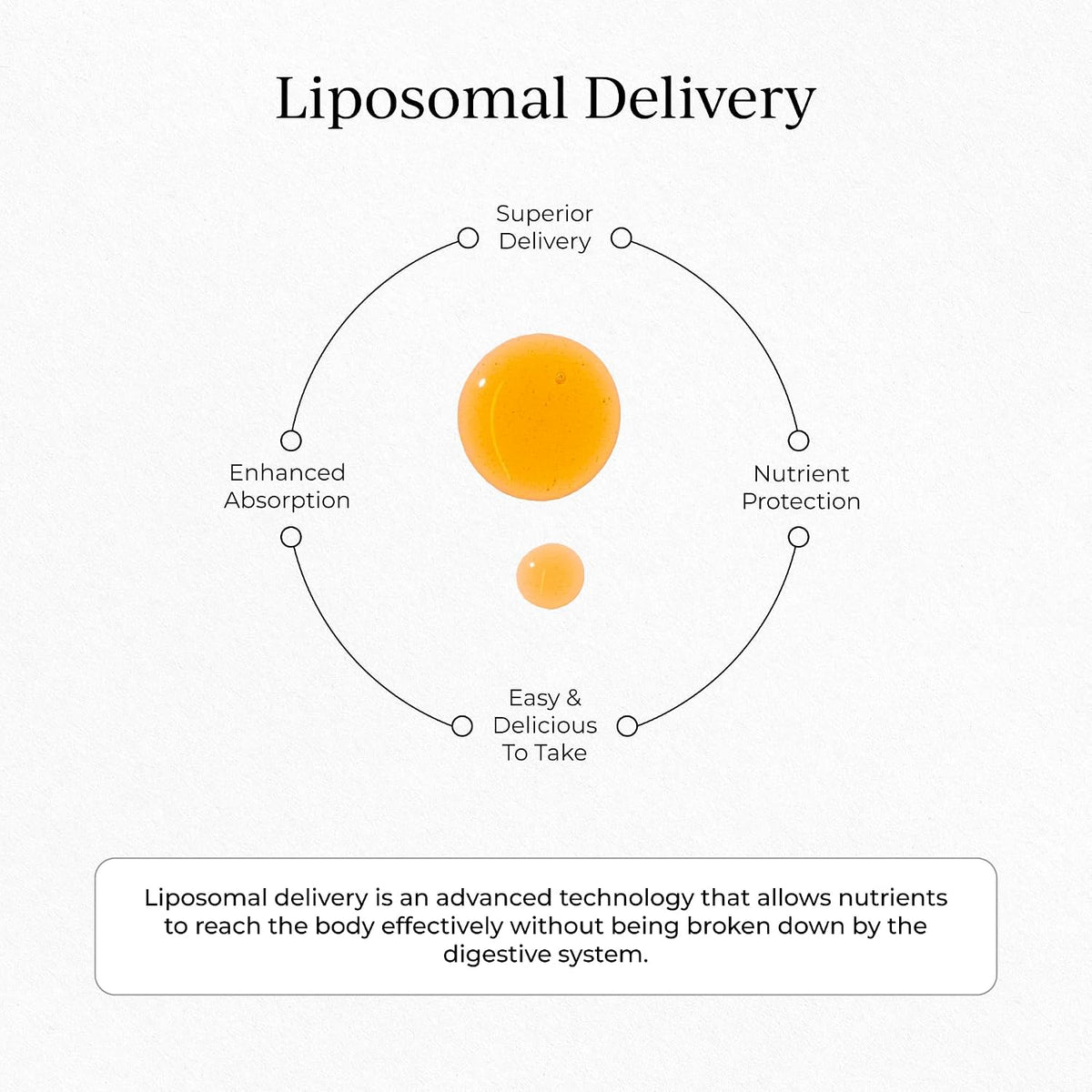 Cymbiotika Vitamina C Liposomal - 30 Sobres Individuales, Sabor Cítrico Vainilla – Image 7