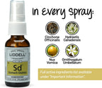 Liddell Homeopathic Stomach Ache Spray - 1 fl. oz.