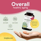 Brightcore Nutrition - Kimchi One, Cápsulas de Kimchi en Polvo, Probióticos, Enzimas y Antioxidantes, Suplemento para la Salud Intestinal, Sin Gluten, 90 Cápsulas Veganas