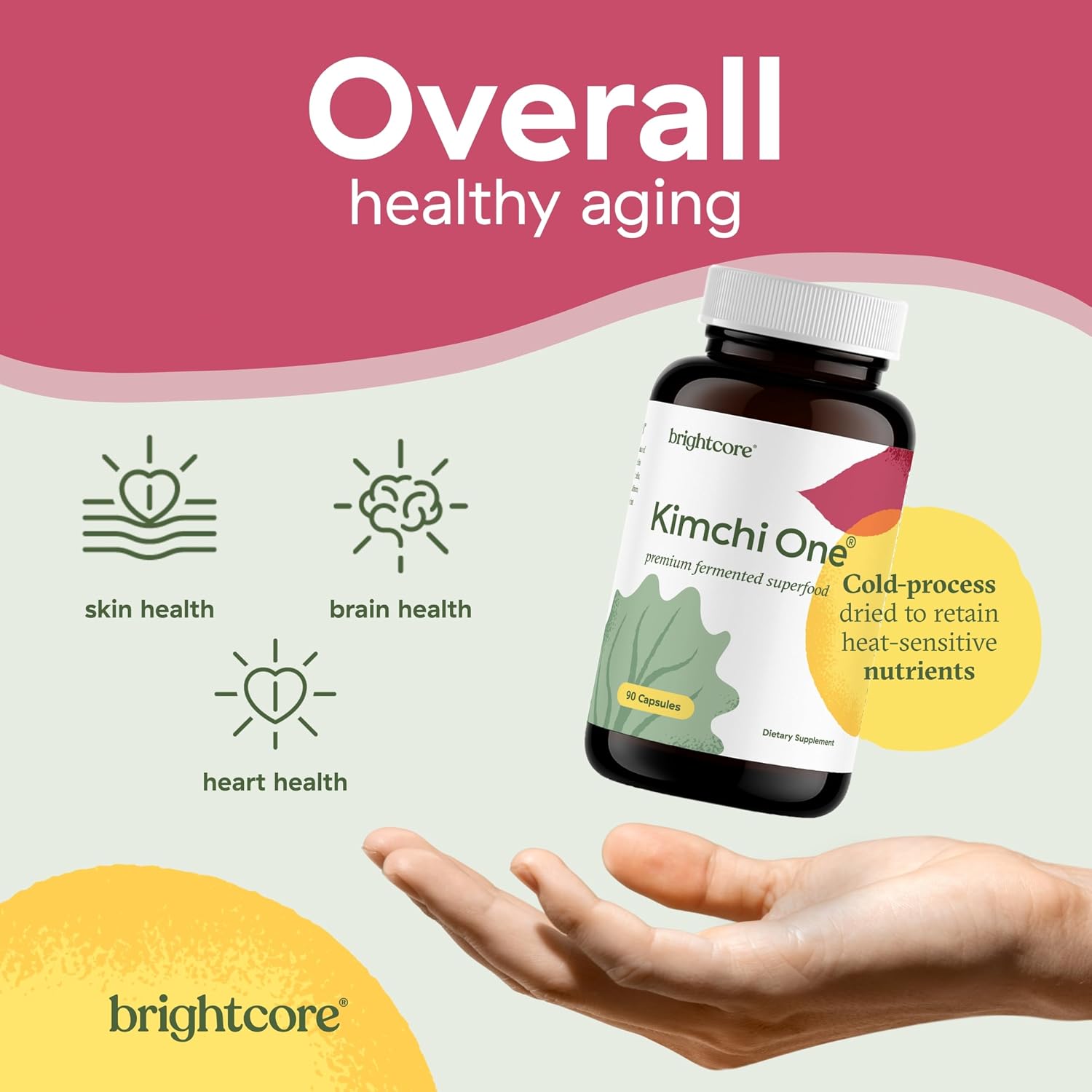 Brightcore Nutrition - Kimchi One, Cápsulas de Kimchi en Polvo, Probióticos, Enzimas y Antioxidantes, Suplemento para la Salud Intestinal, Sin Gluten, 90 Cápsulas Veganas