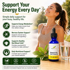 Herb-Science Vitamina B12 Líquida – Gotas Sublinguales de Cianocobalamina, Vegano, Sin Alcohol, 30 ml