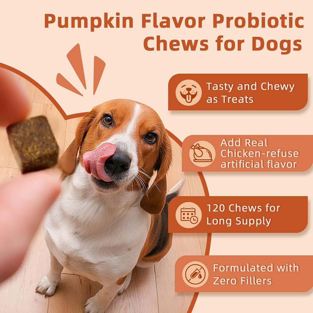 ZEBORA Probióticos para Perros - Masticables de Calabaza para Salud Digestiva e Inmunidad, 120 unidades