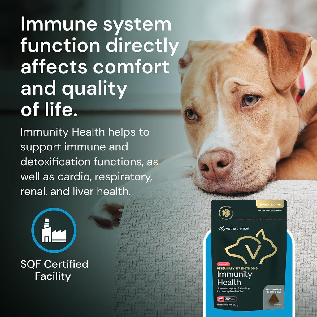 VETRISCIENCE Masticables de Apoyo Inmunológico DMG para Perros y Gatos - Sabor Pollo - 50 Unidades