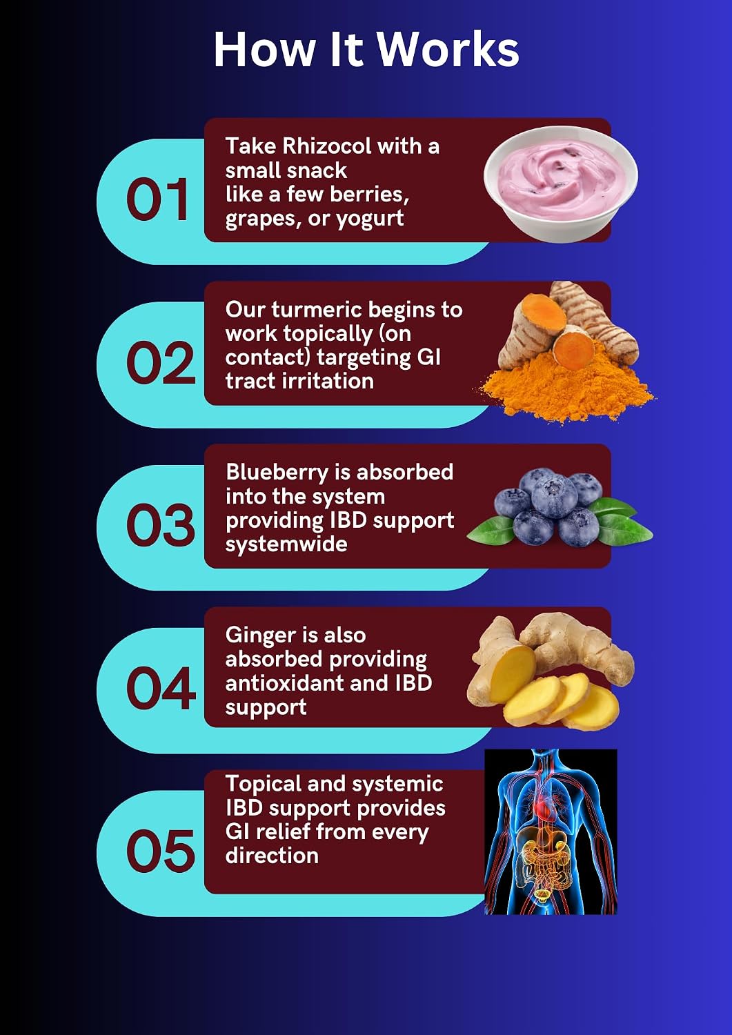 Rhizocol - Suplemento para la Salud Intestinal de Janson Labs