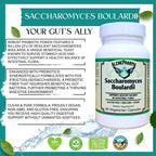 AlchePharma Saccharomyces Boulardii - Probiótico con 5B UFC y FOS Prebiótico