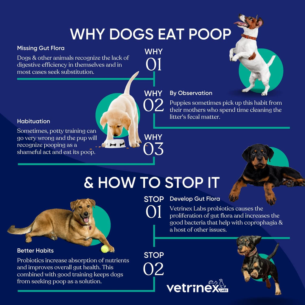 Vetrinex Labs Probiotic for Dogs - Coprophagia Aid - Powder for Dogs and Cats