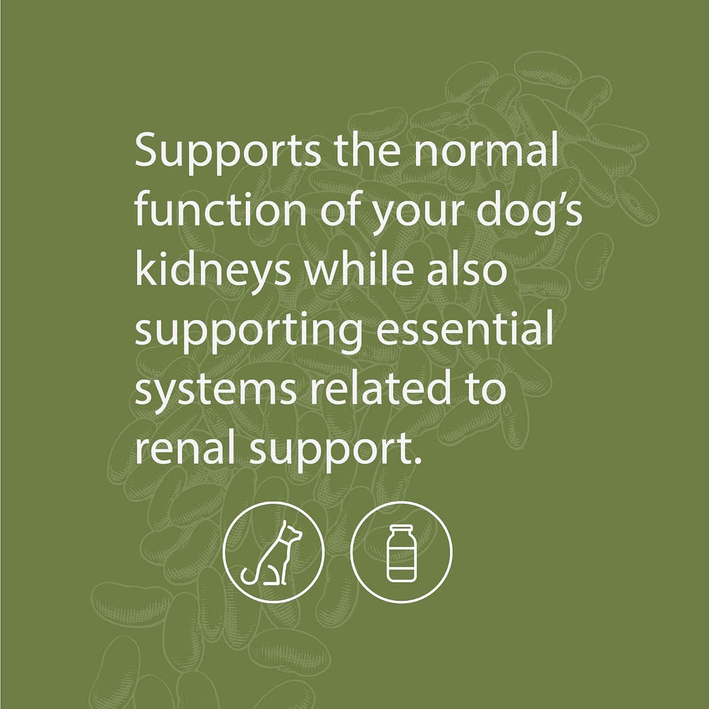 Standard Process Canine Renal Support – Suplemento para perros para la salud de riñones, hígado y corazón – 3.9 oz (70 porciones)