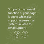 Standard Process Canine Renal Support – Suplemento para perros para la salud de riñones, hígado y corazón – 3.9 oz (70 porciones)