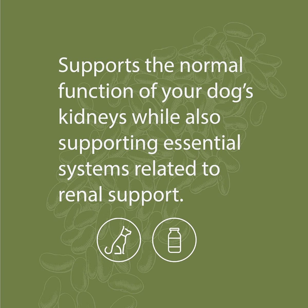 Standard Process Canine Renal Support – Suplemento para perros para la salud de riñones, hígado y corazón – 3.9 oz (70 – Image 3
