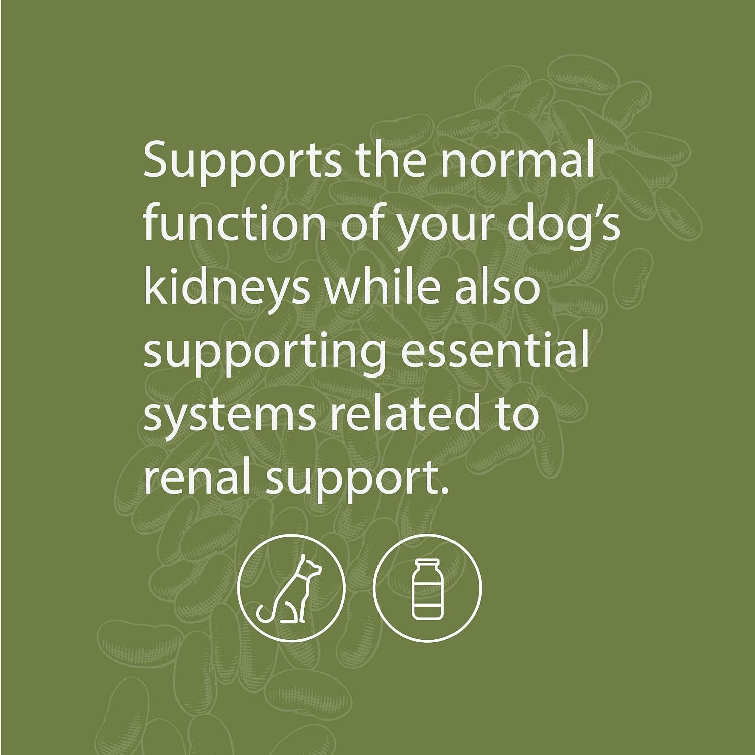 Standard Process Canine Renal Support – Suplemento para perros para la salud de riñones, hígado y corazón – 3.9 oz (70 porciones)