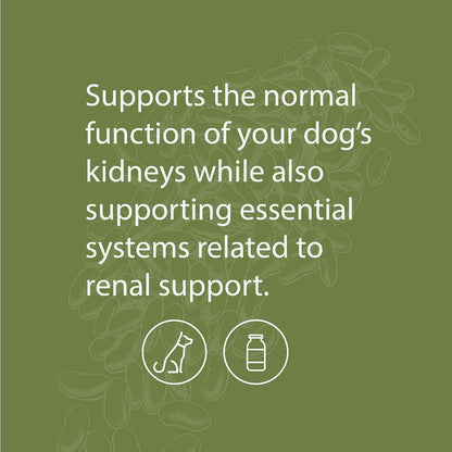 Standard Process Canine Renal Support – Suplemento para perros para la salud de riñones, hígado y corazón – 3.9 oz (70 – Image 3