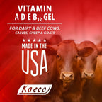 Kaeco Vitamina Ade B12 Gel Oral - 80 ml
