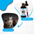 Vitaminas Líquidas B-12 para Perros - Suplemento de Metilcobalamina - Infinite Health Labs
