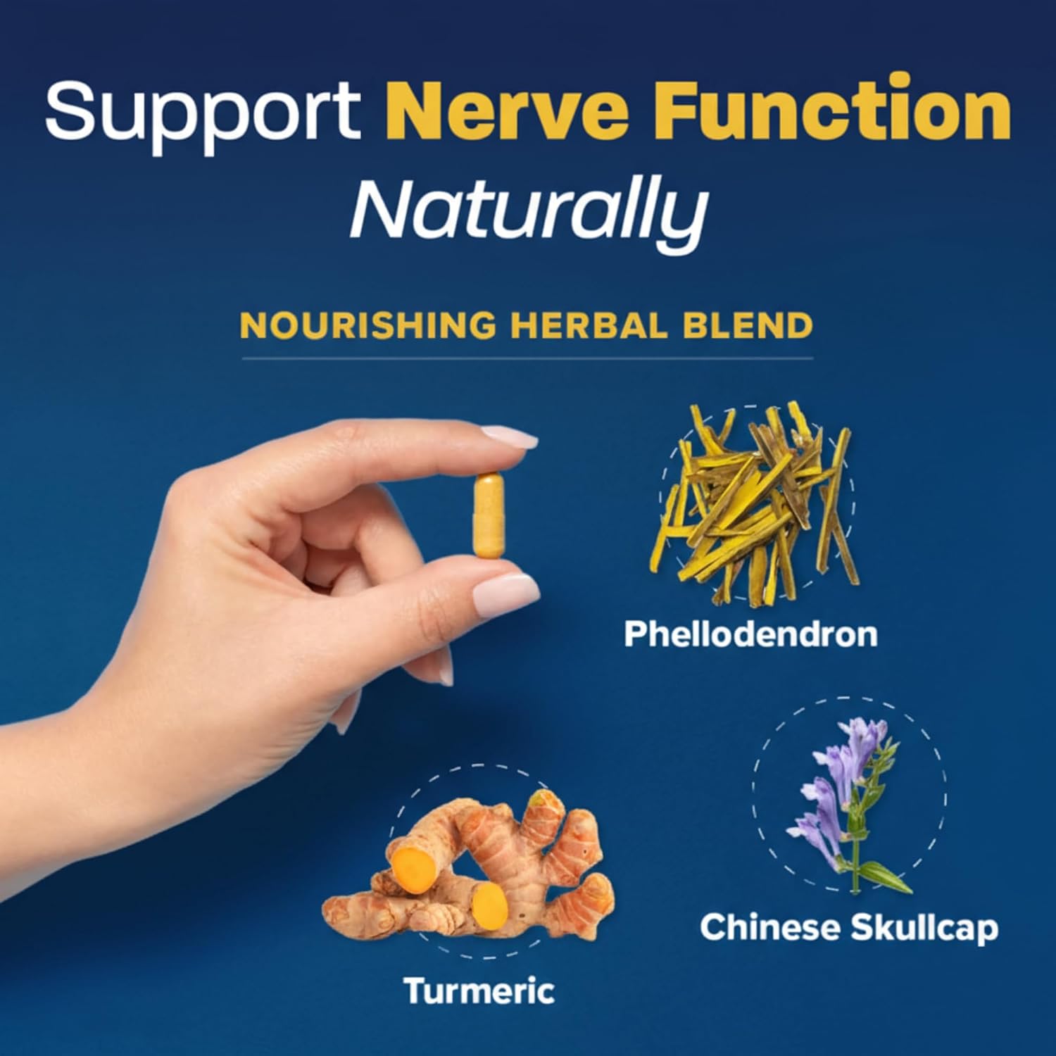 Redd Remedies Nerve Shield – 60 Cápsulas Veganas