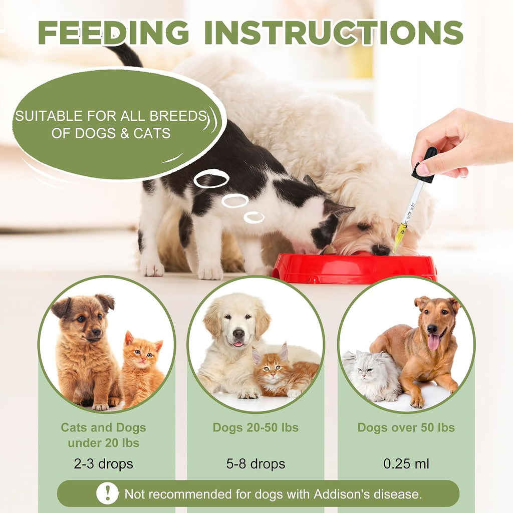 Suplemento para Epilepsia y Sistema Nervioso para Perros y Gatos - Ourea