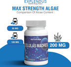 Celulas Madres – Suplemento de Células Madre para Anti-Envejecimiento y Longevidad, Sin OGM, Sin Gluten, Cápsulas Vegetarianas, 60 Cápsulas (Pack de 4)
