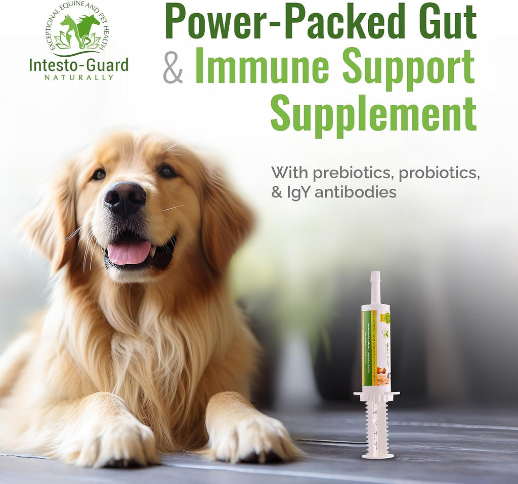 Probiotics Paste for Dogs Prebiotic for Canine, Gut Support, & Immune Boost, All Natural with 1 Billion per ML Includes (MOS)+ Beta Glucans + D-Mannose, No Animal by-Products - 60ML Single Tube