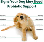 Paw Balance Probióticos y Multivitamínicos para Perros - 60 Masticables con Omega 3 y Calostro