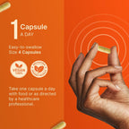 INVITA ADK 10 – Suplemento de Vitaminas A, D3 10,000 UI y K2-MK7 – 90 Cápsulas