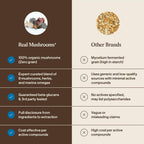 Real Mushrooms Whole Dog Health – Suplemento de hongos para perros, 75 g en polvo