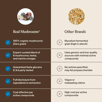 Real Mushrooms Whole Dog Health – Suplemento – Cordyceps (Cordyceps militaris): Favorece la resistencia y el – Image 7
