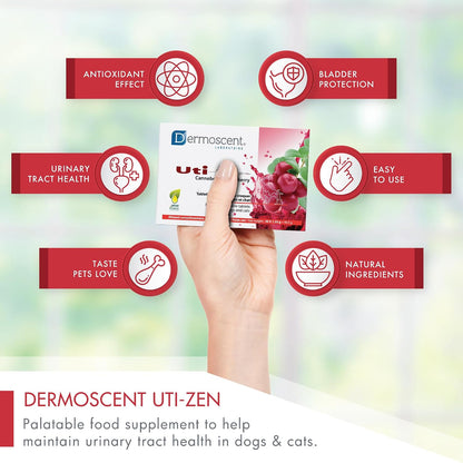Dermoscent UTI-Zen Arándano Comprimidos para Perros y Gatos - Complemento Alimenticio para la Salud de la Vejiga, Riñones y – Image 7
