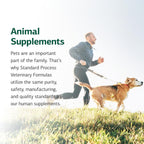 Standard Process Canine Dermal Support - Suplemento para la piel y glándulas suprarrenales para perros - 125 g