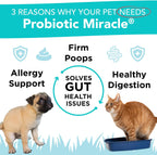 Probióticos para Perros con Prebióticos - 360 Dosis