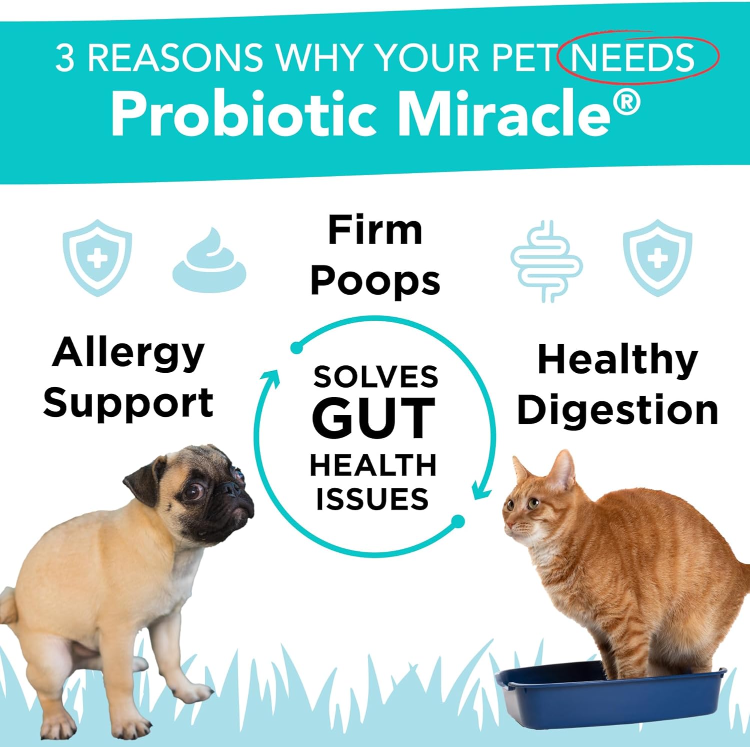Probióticos para Perros con Prebióticos - 360 Dosis