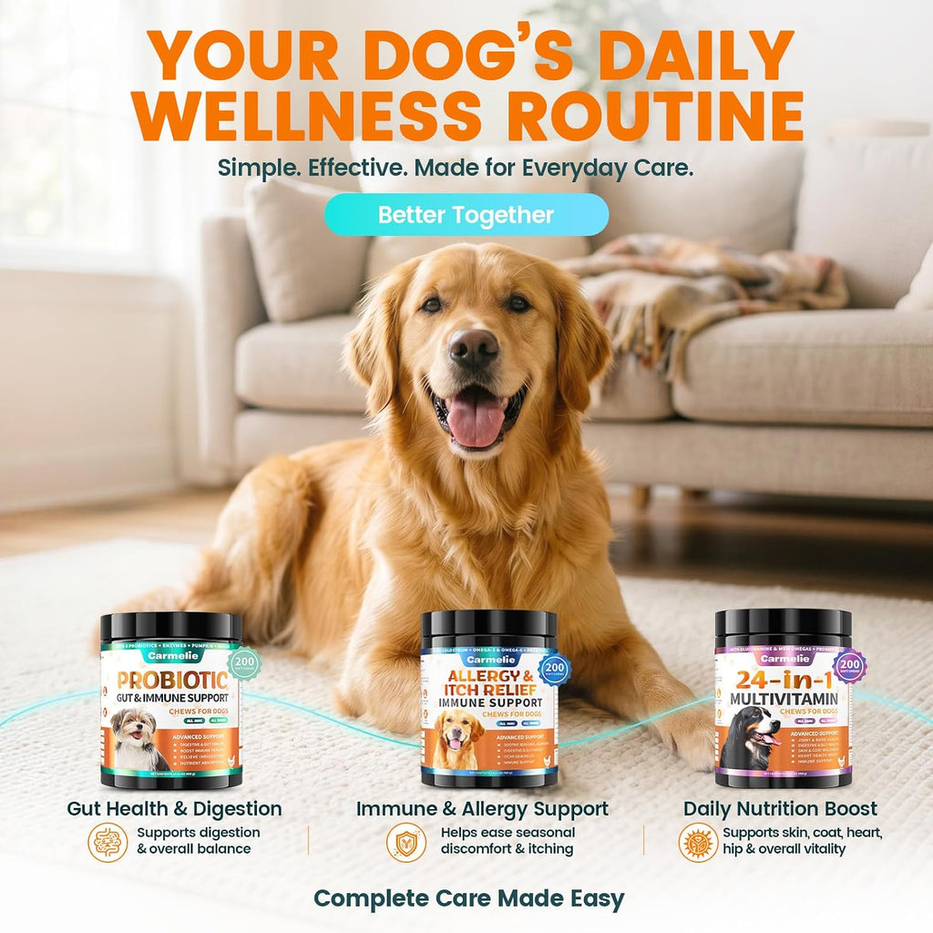 Probióticos para Perros Carmelie - Masticables con Enzimas Digestivas y Prebióticos (Pollo, 200 uds)