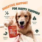 Pure Paws Polvo de Calabaza Orgánico para Perros, Cachorros, Gatos y Gatitos - Complemento Digestivo Esencial 212g (7.5oz)