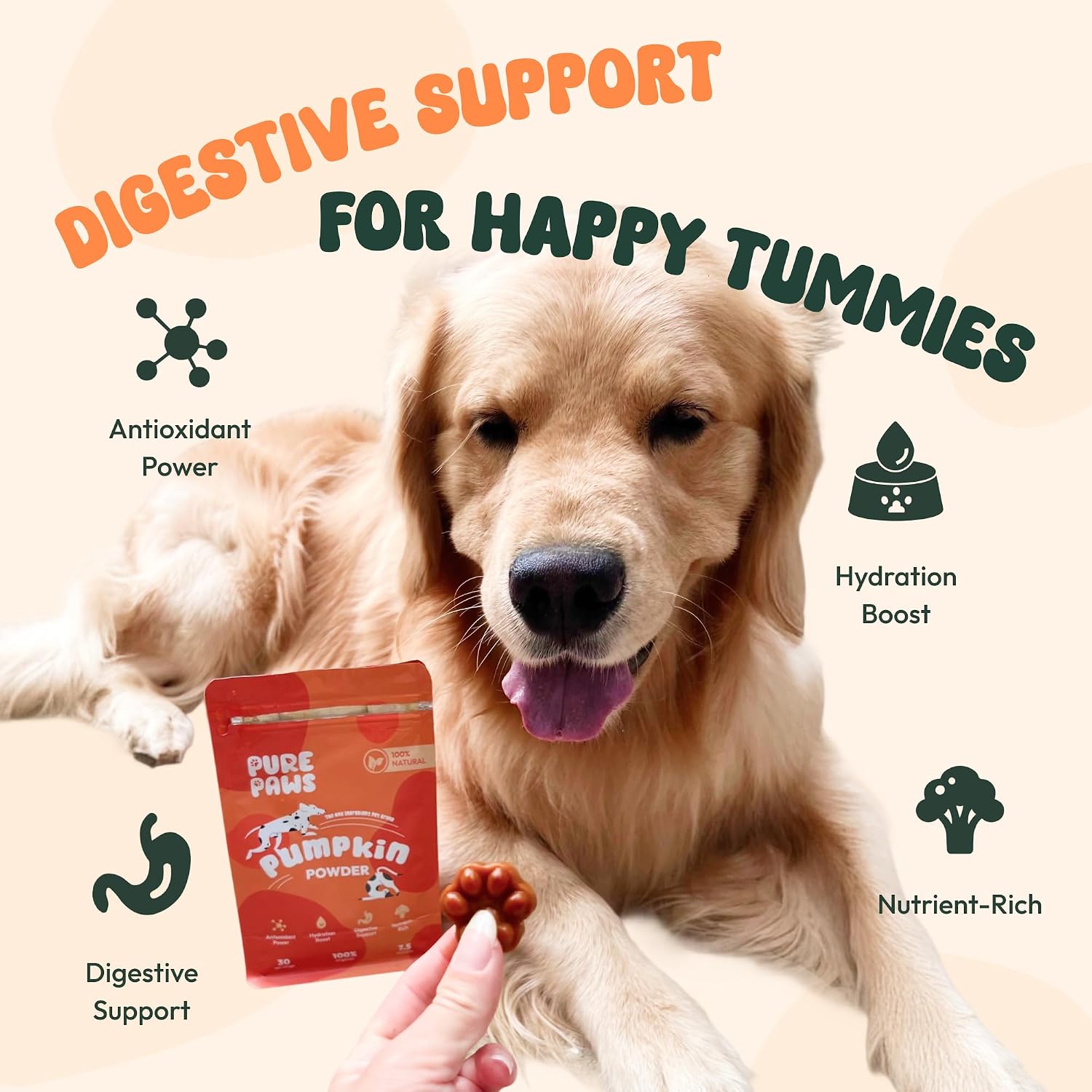 Pure Paws Polvo de Calabaza Orgánico para Perros, Cachorros, Gatos y Gatitos - Complemento Digestivo Esencial 212g (7.5oz)