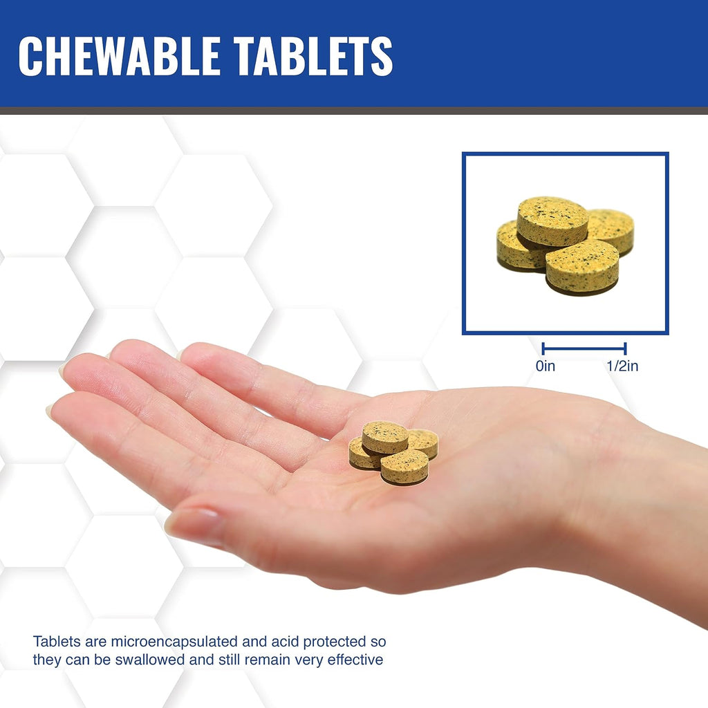MAAC10 NADH + CoQ10 – 60 Comprimidos Masticables | 50mg NADH PANMOL® + 100mg CoQ10 | Energía y Enfoque Mental
