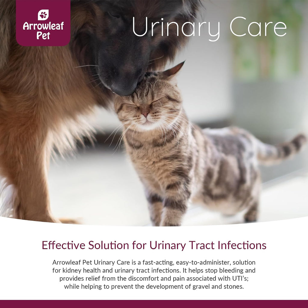 Urinary Care para Gatos y Perros – Tintura Herbal para el Soporte del Tracto Urinario 100 ml