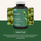 Dr. Fuhrman's LDL Biotect - Suplemento con Esteroles Vegetales y Extractos Orgánicos - 240 Cápsulas
