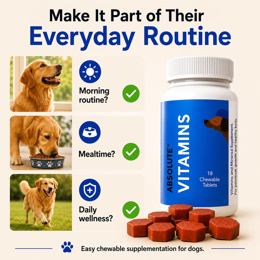 Drools Absolute Vitamin Tablet - Suplemento Multivitamínico para Perros, 110 Comprimidos