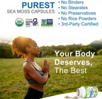 Power By Naturals Sea Moss Plus – Cápsulas Orgánicas de Musgo de Mar Irlandés con Bladderwrack y Raíz de Bardana – 120 Cápsulas (Suministro para 2 Meses)