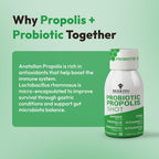 Bee and You Propolis Immune Shot 50 ml (Pack de 12)