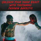 Fadogia Agrestis 1200 mg - 120 Cápsulas | Extracto Ultra Potente para Hombres