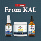 KAL Vitamina B12 Metilcobalamina ActivSpray 2500 mcg, Spray de Vitamina B12, Sabor Natural a Bayas, 80 Servicios, 60 ml