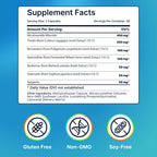 Complejo Liposomal NR con Resveratrol, Fisetina, Espermidina y Berberina - 500mg, 60 Cápsulas