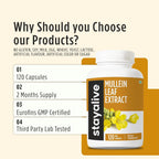 Extracto de Hoja de Gordolobo 1000mg (10:1), 120 Cápsulas Veganas - STAY ALIVE