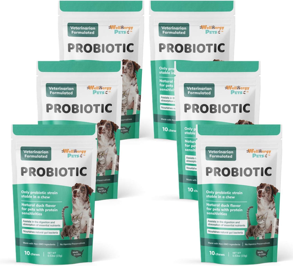 Wellnergy Probióticos y Prebióticos Diarios en Masticables Suaves para Perros y Gatos - 60 unidades