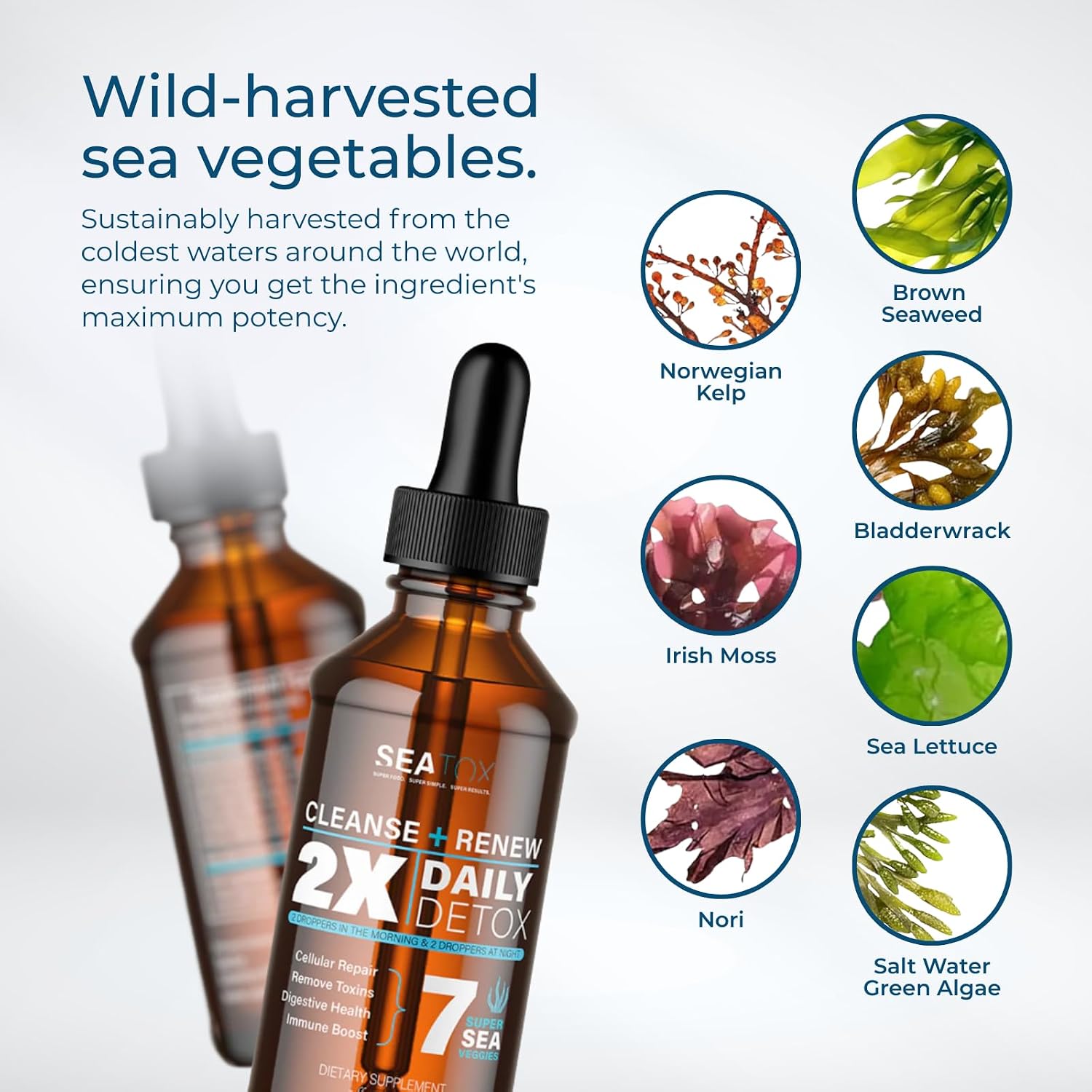 Cleanse & Renew - Superalimento Líquido - Salud Intestinal e Inmunidad - 30 Días - SeaTox