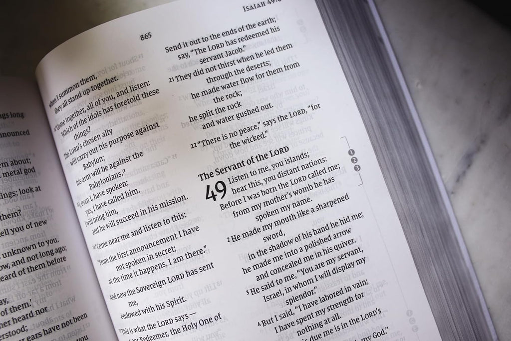 NVI, Biblia de estudio Celebrate Recovery (edición 35.º aniversario), rústica, letra grande