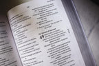 NVI, Biblia de estudio Celebrate Recovery (edición 35.º aniversario), rústica, letra grande