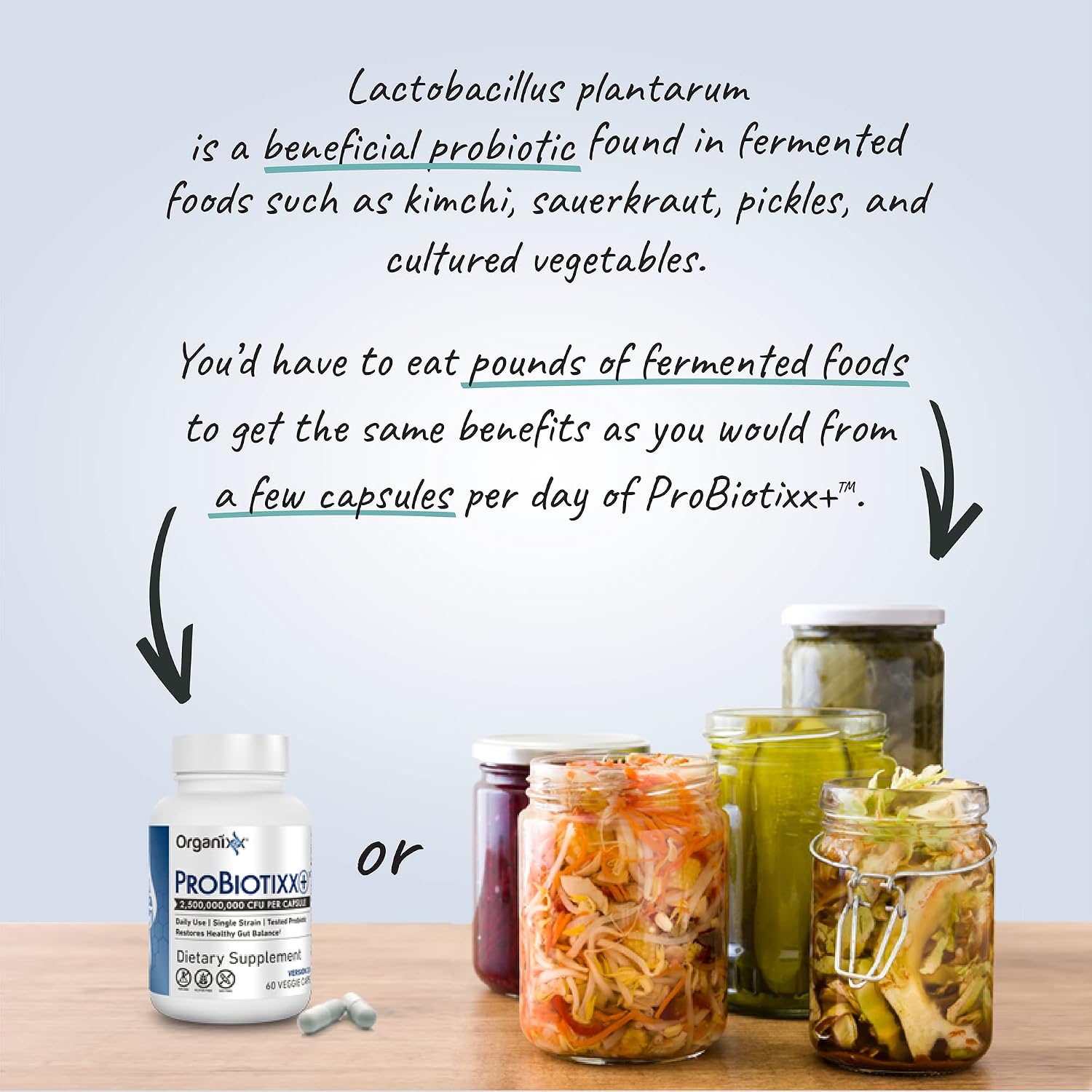 Organixx ProBiotixx+ Probiótico Diario para Salud Digestiva e Inmunidad, 60 Cápsulas Vegetales