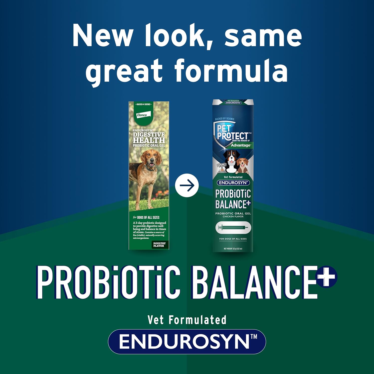 Pet Protect Probiótico Balance+ Oral Gel para Perros, Fórmula Endurosyn, Sabor Pollo, 32g